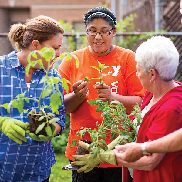 Springfield YMCA volunteers in action, contributing to the community through various programs and events.